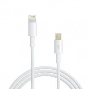 Apple Lightning - USB-C cable