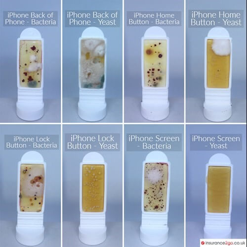 Egy 6 ábrából álló képen láthatjuk, hogy az iPhone egyes részein milyen mennyiségő baktériumok élnek.