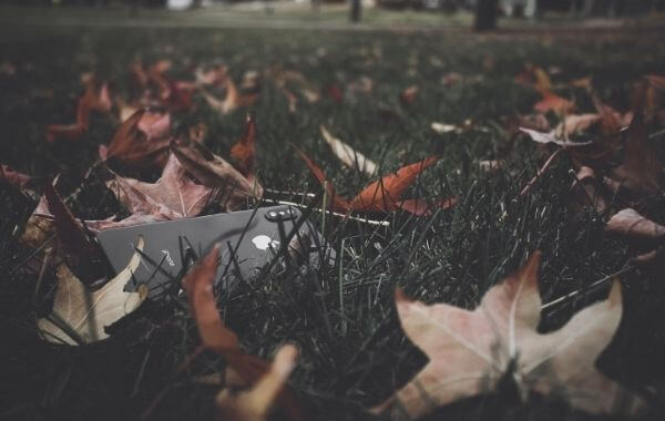 Elhagyott telefon a fűben